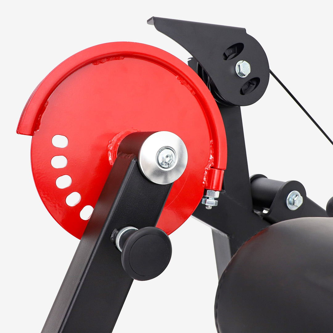 Compact Leg Curl & Extension Machine for Home Gym – ALTAS AL-169 Strength Equipment