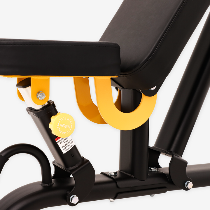 Adjustable Multi-Functional Weight Bench for Home Gym – ALTAS AL-3039 Light-Commercial Equipment